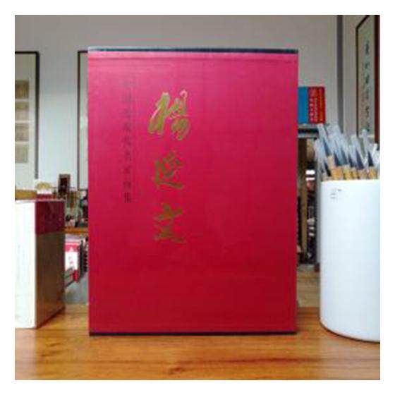8开函套精装 杨延文 中国近现代名家画集 杨延文绘 山水画解读彩墨空间 油画中国画西方印象派绘画中国传统绘画色彩艺术人民美术