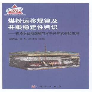 煤粉运移规律及井眼稳定性判识:在沁水盆地煤层气水井开发中的应用 赵贤正 煤层地下气化煤气多底井研究 自然科学书籍科学出版社