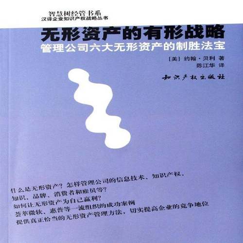 无形资产的有形战略:管理公司六大无形资产的制胜法宝 书 约翰·贝利公司企业管理无形固定资产书籍正版知识产权出版社