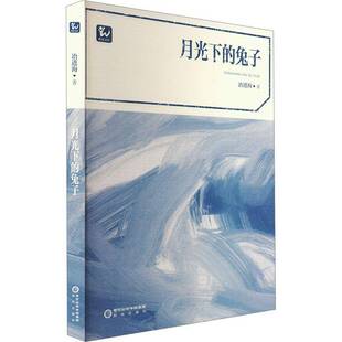 月光下的兔子 冶进海     小说书籍正版