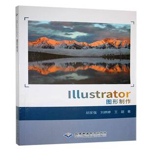 计算机与网络书籍正版 Illustrator图形制作 胡家强