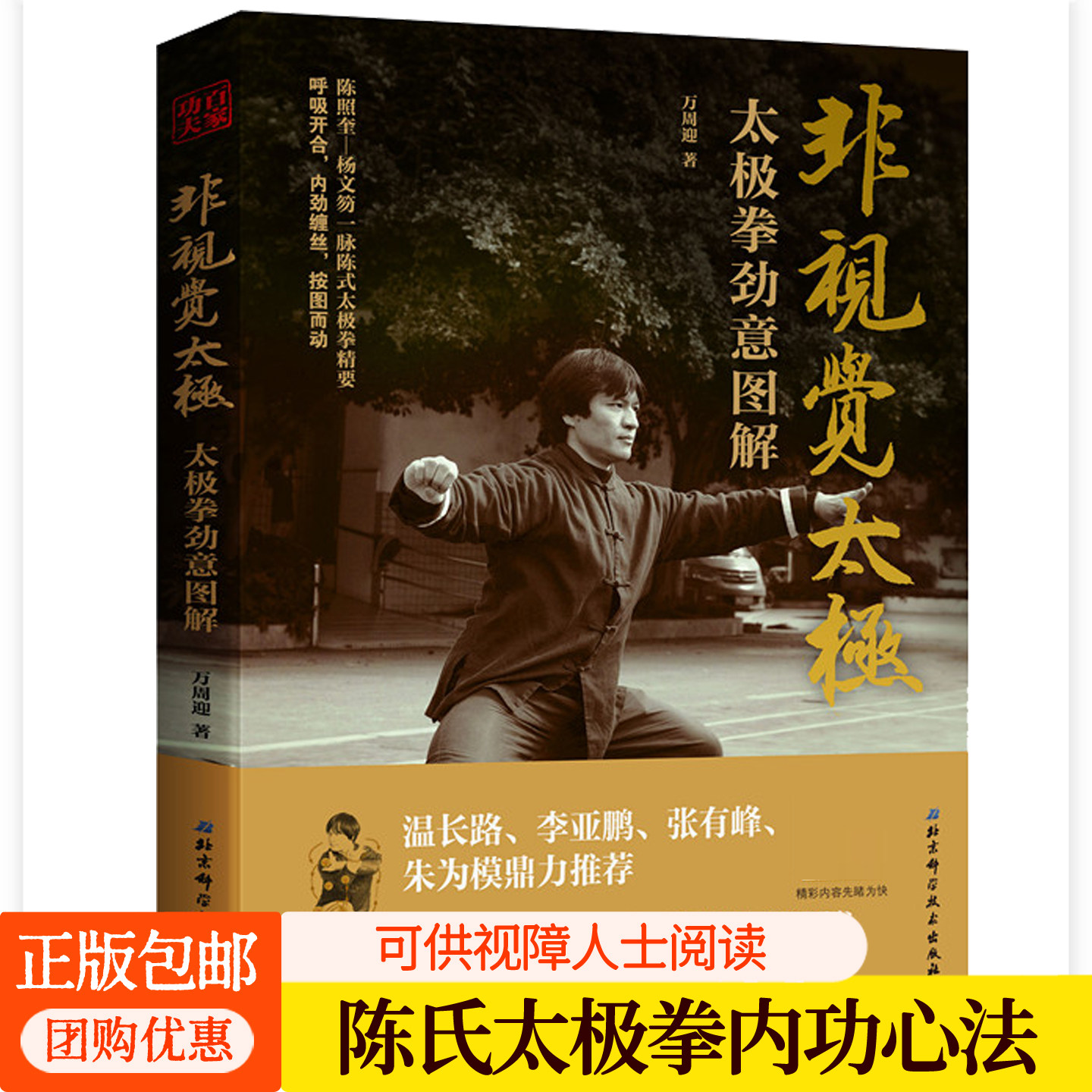 非视觉太极:太极拳劲意图解 万周迎 陈氏太极拳内功心法流派传承劲法图解动静桩功缠丝拳法太极十三势陈式太极拳入门教程书籍