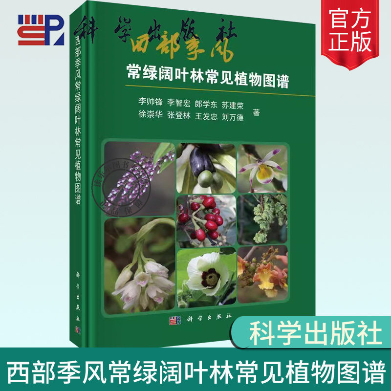 正版 西部季风常绿阔叶林常见植物图谱 李帅锋植物科普百科知识野生植物大全读物关于植物的书植物学形态特征自然科学出版社