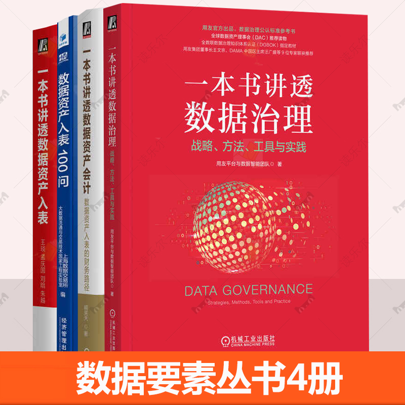 4册任选】一本书讲透数据资产会计+一本书讲透数据治理+一本书讲透数据资产入表+ 数据资产入表100问 数据治理战略规划落地实施书