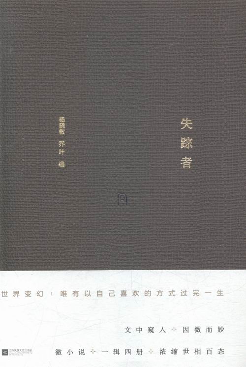 失踪者 江苏文艺出版社 中国 书籍