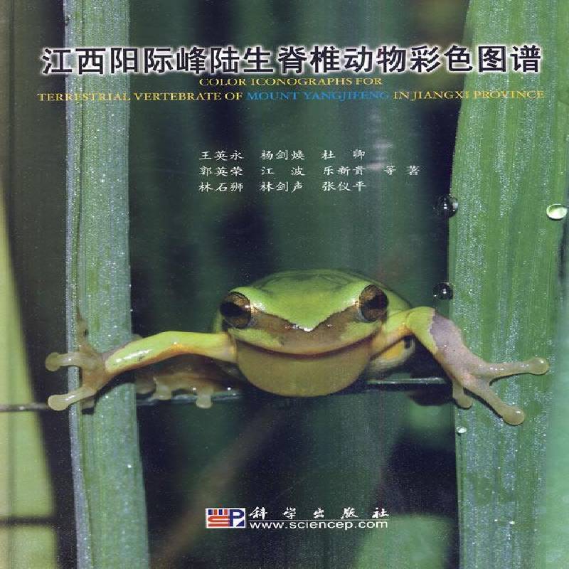 江西阳际峰陆生脊椎动物彩色图谱 王英永等 陆地脊椎动物门江西省图谱 自然科学书籍科学出版社