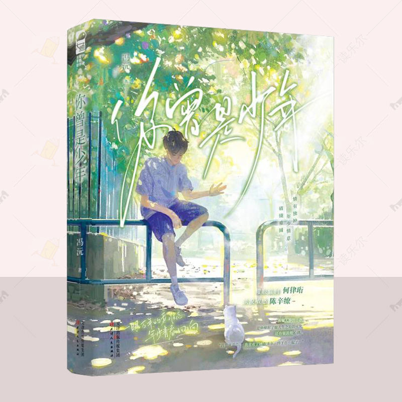 正版 你曾是少年 冯沅 小说书籍 耀眼温润 何律珩 VS 淡漠 陈辛缭 情有独钟 年少情意 破镜重圆 天津人民出版社 9787201208039