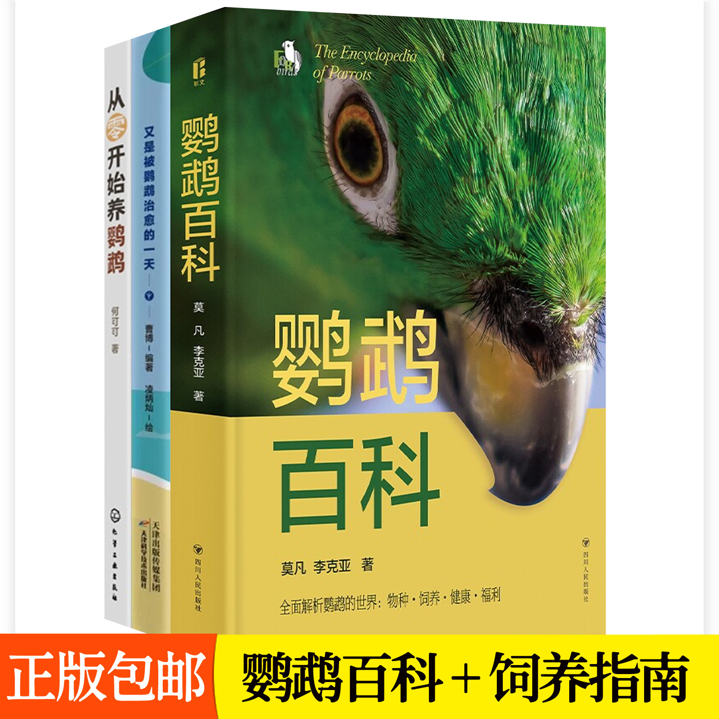 鹦鹉百科+从零开始养鹦鹉+又是被鹦鹉治愈的一天 鹦鹉品种知识选购指南生活习性互动