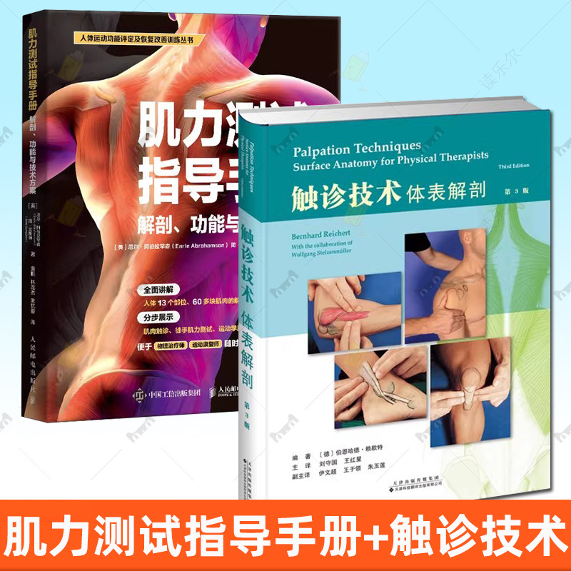 任选】肌力测试指导手册 解剖 功能与技术方案+触诊技术 体表解剖 第3版 运动康复 体能训练 康复评估 肌肉触诊 徒手肌力测试书籍
