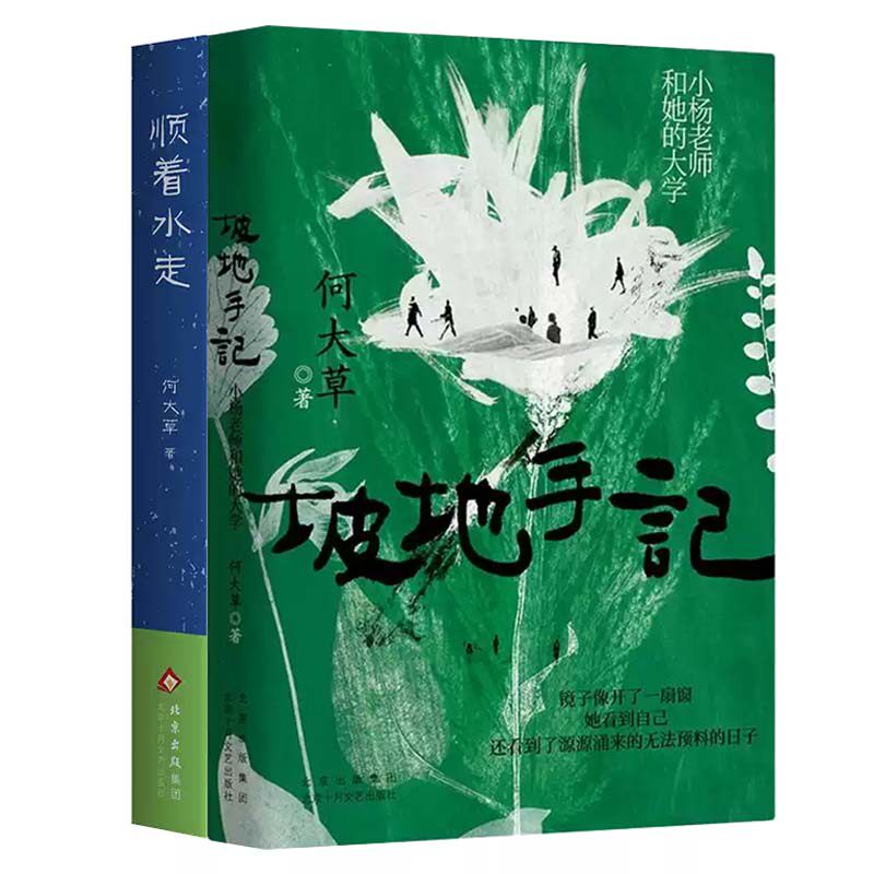 坡地手记 小杨老师和她的大学+顺着水走 2册 何大草 散文集 踏访历史心迹往事 新经典出品 正版书籍 北京十月文艺出版社