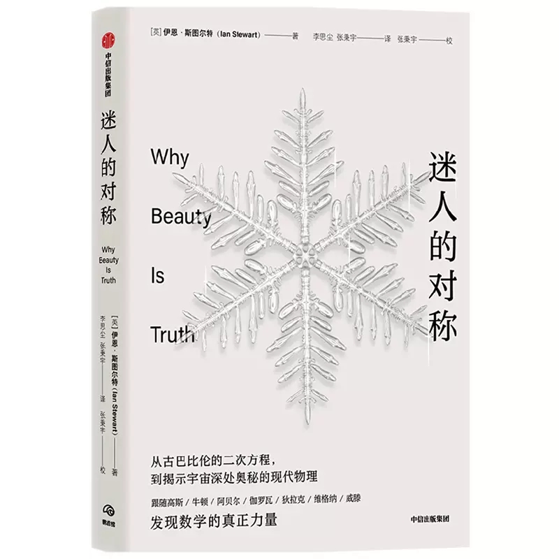 正版迷人的对称 聚焦对称性的数学探险高斯牛顿发现数学真正力量古巴比伦的二次方程到现代物理探索对称的历史