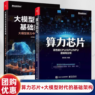 2册 算力芯片 高性能 CPU/GPU/NPU 微架构分析 濮元恺+大模型时代的基础架构 大模型算力中心建设指南 硬件架构服务器设计实现书籍