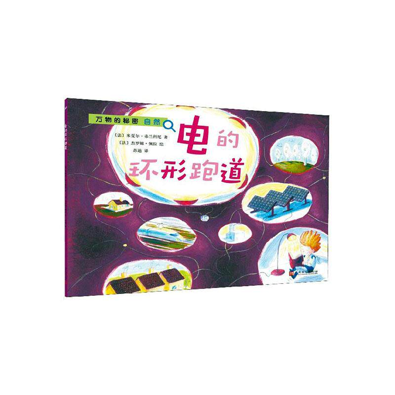 正常发货 正版包邮 电的环形跑道 米夏尔·弗兰科尼 书店 电磁学,电