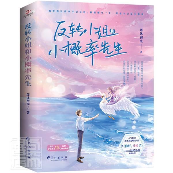 正版 反转小姐和小概率先生 莲沐初光著 网红穿搭博主VS高智心理咨询师 都市温暖甜宠文青梅竹马青春言情小说书籍