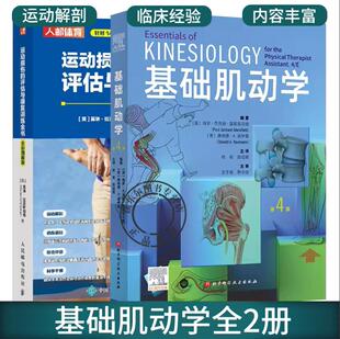 正版2册基础肌动学 第4四版+运动损伤的评估与康复训练全书 肌肉骨骼系统的结构和功能 图谱肌动力学书籍 筋膜解剖书 运动康复书籍