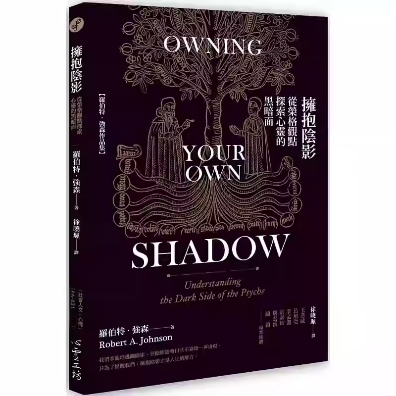 拥抱阴影 从荣格观点探索心灵的黑暗面:understanding the dark side of the psyche 罗伯特 约翰逊   哲学书籍正版