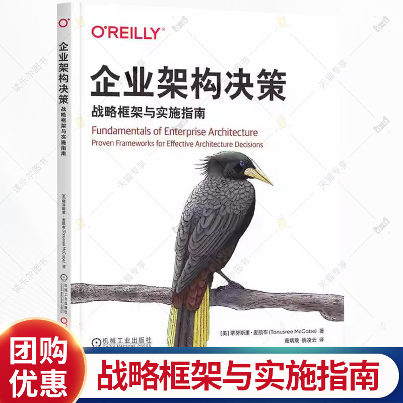 企业架构决策 战略框架与实施指南 塔努斯里 麦凯布 企业架构战略 架构决策 企业架构实践技术书籍 机械工业出版社