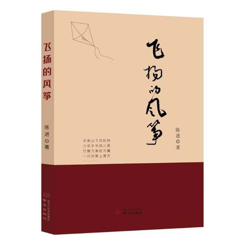正版飞扬的风筝 陈进     小说书籍