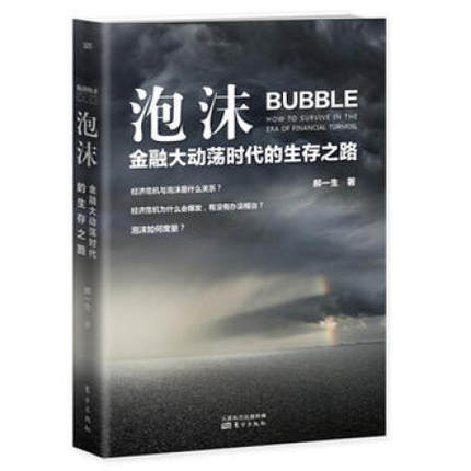 正版包邮 泡沫-金融大动荡时代的生存之路 郝一生 著 金融理论 东方出版社书籍 9787506084574