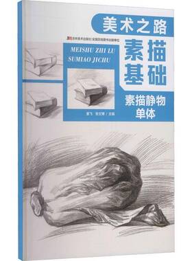 美术之路 素描基础 素描静物单体 书 姜飞静物画素描技法书籍正版吉林社