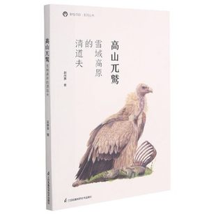 赵序茅著 野性寻踪系列丛书展现西部雪域高原 生态系统 高山兀鹫 江苏凤凰科学技术出版 清道夫 现代文学生态记录 雪域高原