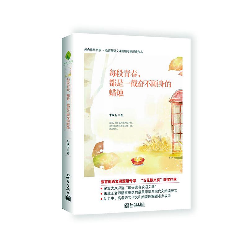 正版包邮 每段青春都是一截奋不顾身的蜡烛 朱成玉作品集 语文辅导书