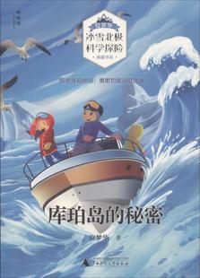 库珀岛的秘密 位梦华 儿童小说 书籍