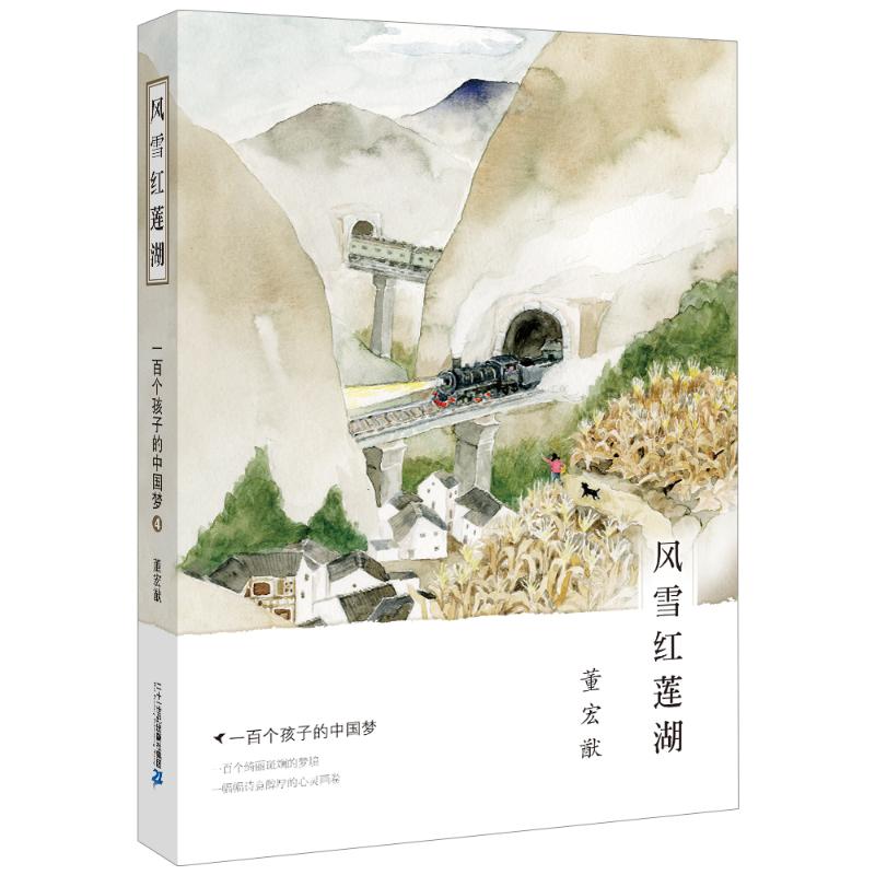 正版现货 风雪红莲湖-一百个孩子的-4 董宏猷 书店 百家姓书籍 书  儿童文学  儿童小说