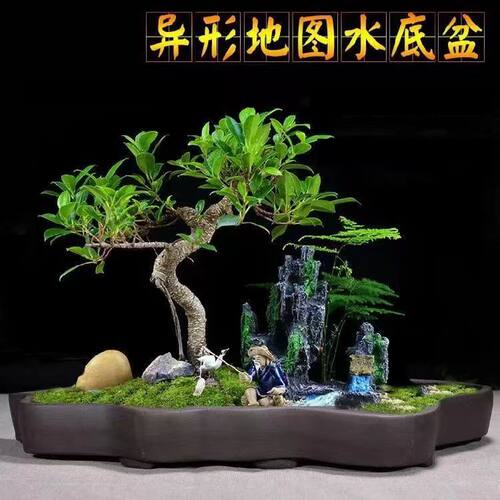紫砂泥现代中式款型优美