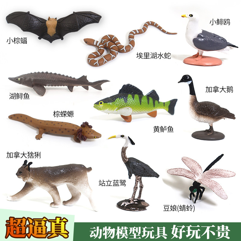 仿真动物鲈鱼海洋蜻蜓昆虫蝾螈蝙蝠模型鲟鱼套装鹤迷你海鸥玩具,玩具/童车/益智/积木/模型,仿真/动物玩偶,淘宝优惠券,粉丝福利购,淘宝优惠卷
