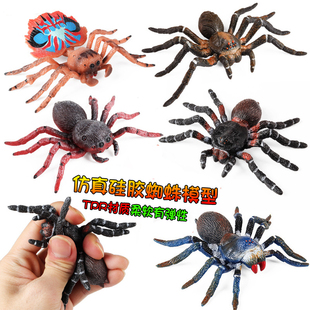儿童仿真硅胶蜘蛛玩具软胶狼蛛模型昆虫整蛊益智吓人减压动物摆件