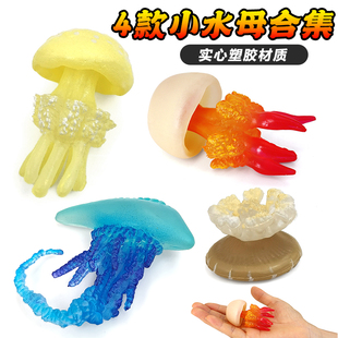 仿真海洋动物剧毒僧帽水母模型海蜇海底世界塑胶玩具海星儿童礼物