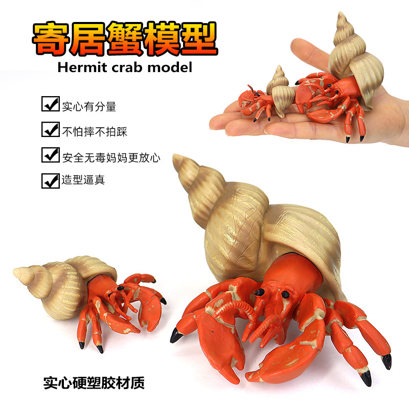 仿真海洋沙滩动物寄居蟹螃蟹模型玩具龙虾塑胶实心装饰摆件儿童