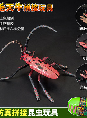 仿真拼插昆虫标本天牛螳螂蜜蜂蝎子模型甲虫益智玩具蚂蚁蚱蜢蜻蜓