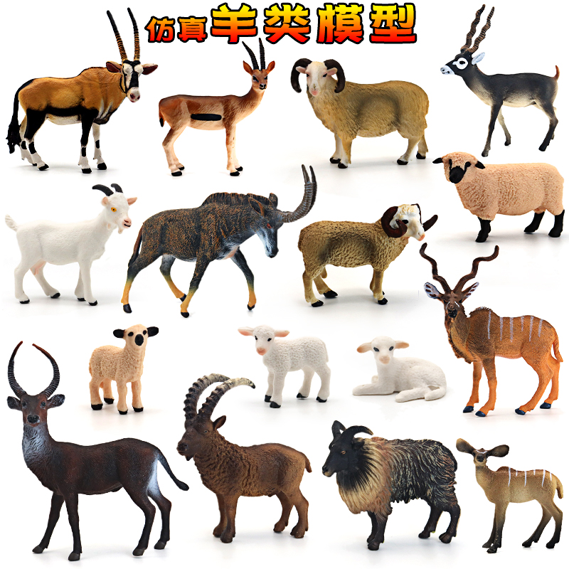 仿真大号山羊非洲羚羊玩具模型绵羊塑胶实心静态摆件