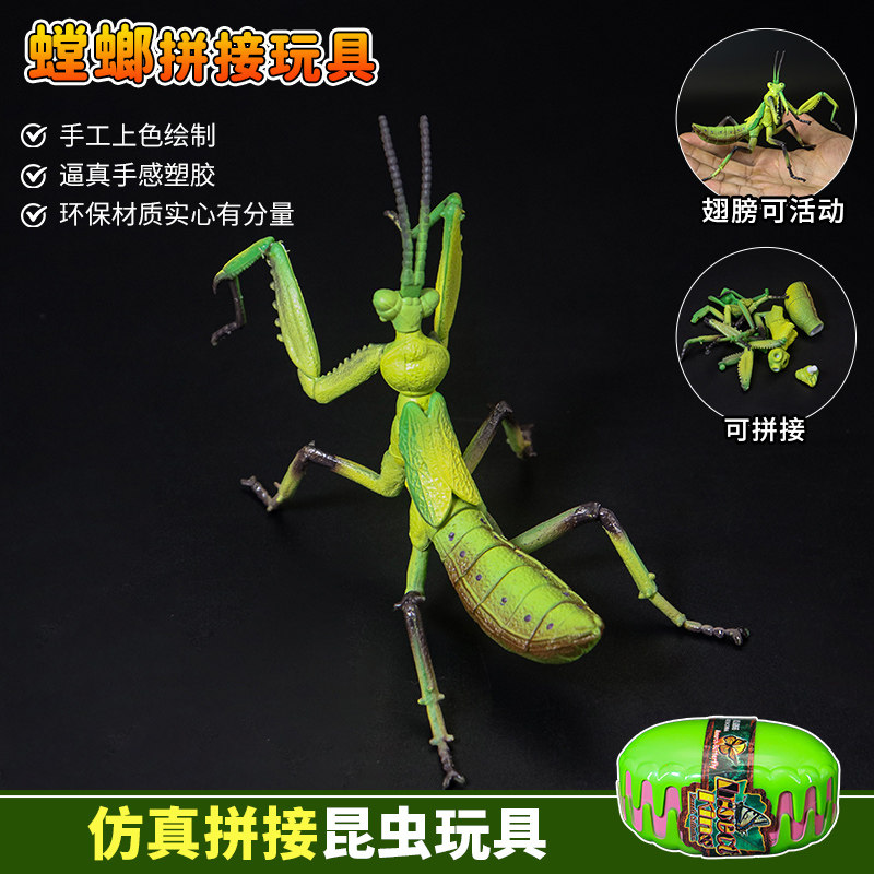 仿真拼插昆虫标本大刀螳螂蜜蜂兰花螳螂模型甲虫益智玩具蚱蜢蜻蜓