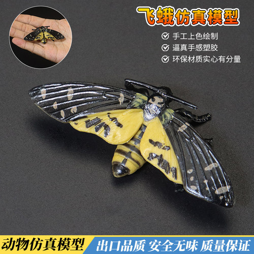 仿真昆虫飞蛾子凤尾蝶标本蝴蝶模型玩具动物装饰摆件儿童认知教育