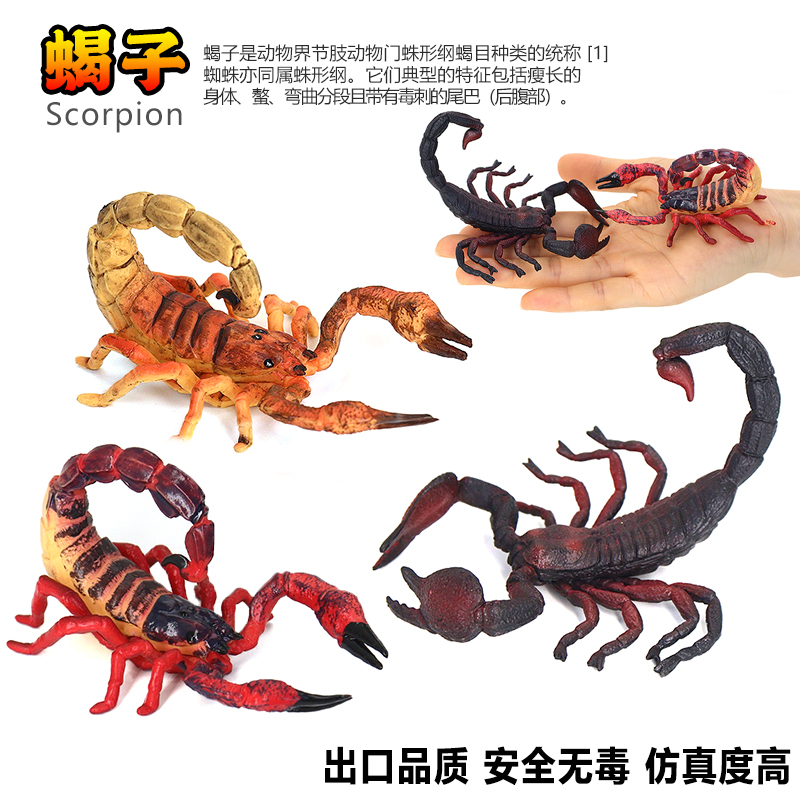 仿真科教五毒蝎子塑胶实心模型玩具