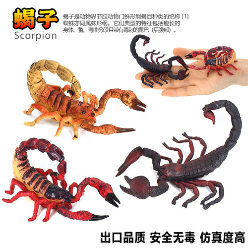 仿真昆虫塑胶益智蝎子模型实心