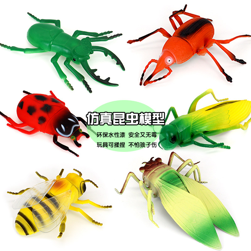 仿真软胶大号昆虫瓢虫玩具模型知了蚂蜜蜂蚱甲虫儿童教育益智礼物