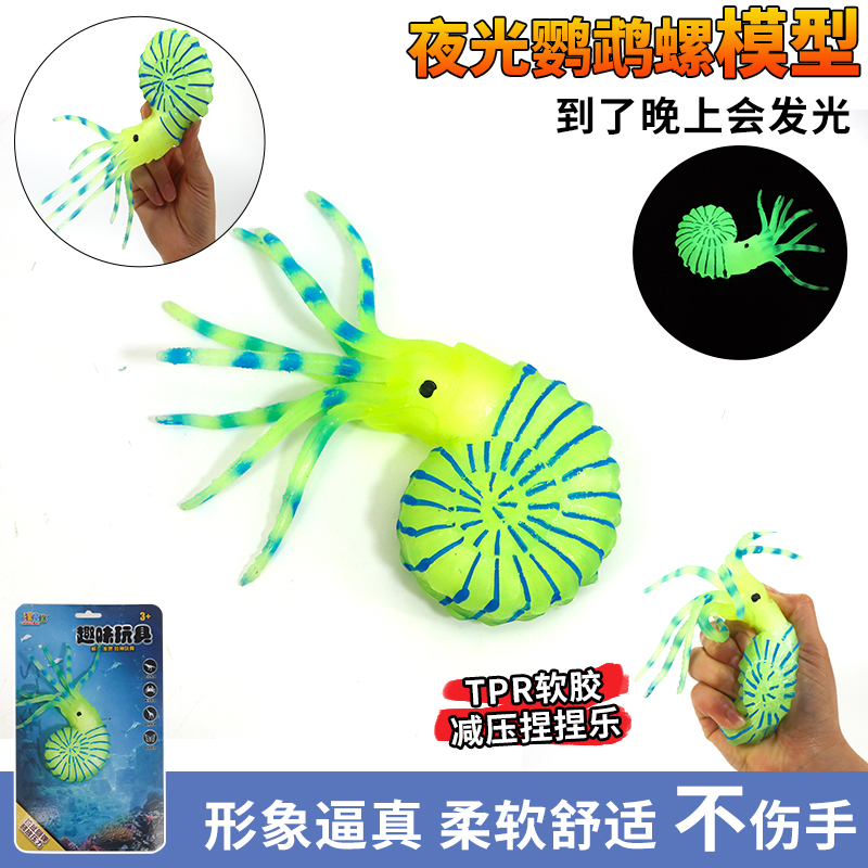 海洋动物夜光鹦鹉螺硅胶菊石益智