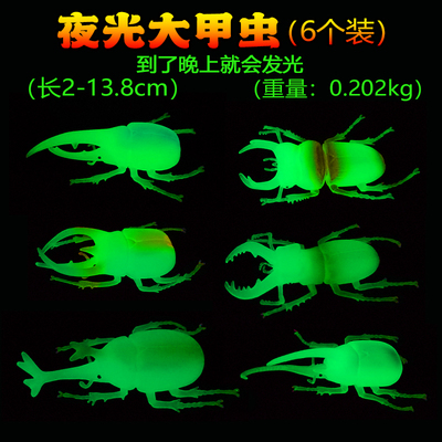模型昆虫模型软胶夜光甲虫认知