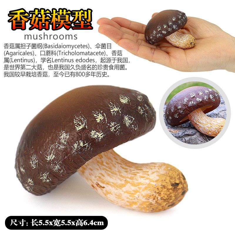 仿真蘑菇模型玩具摆件装饰红伞伞竹笋菌子蔬菜塑胶香菇儿童认知