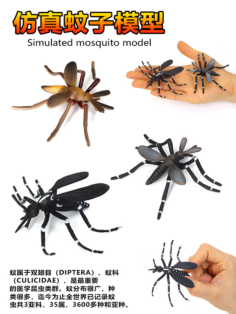 시뮬레이션 동물 현실적인 곤충 모기 모델 발견 정적 고체 AEDES 모기 장난감 장식품 어린이 교육 선물