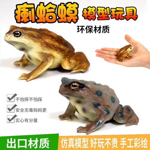 仿真两栖动物塑胶懒蛤蟆科教牛蛙