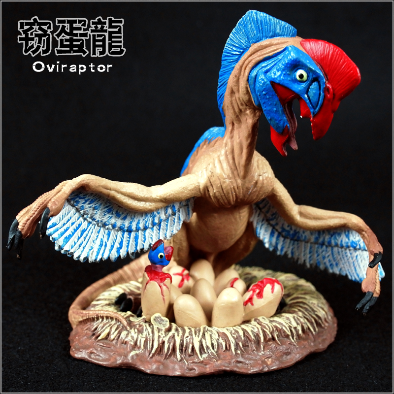 仿真恐龙模型塑胶实心窃蛋龙