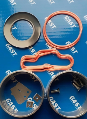 热电 赛默飞采样泵5030i5014i采样泵维护包 122303-00全新未拆封