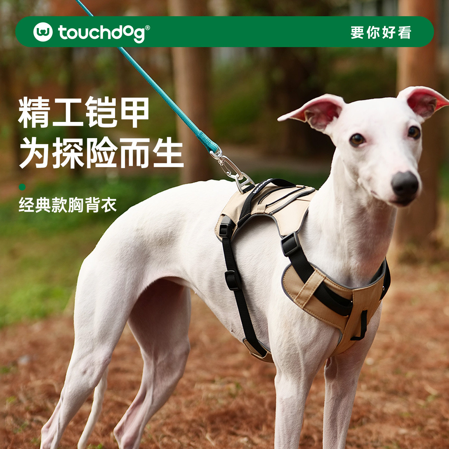 Touchdog它它山系工字型胸背图片