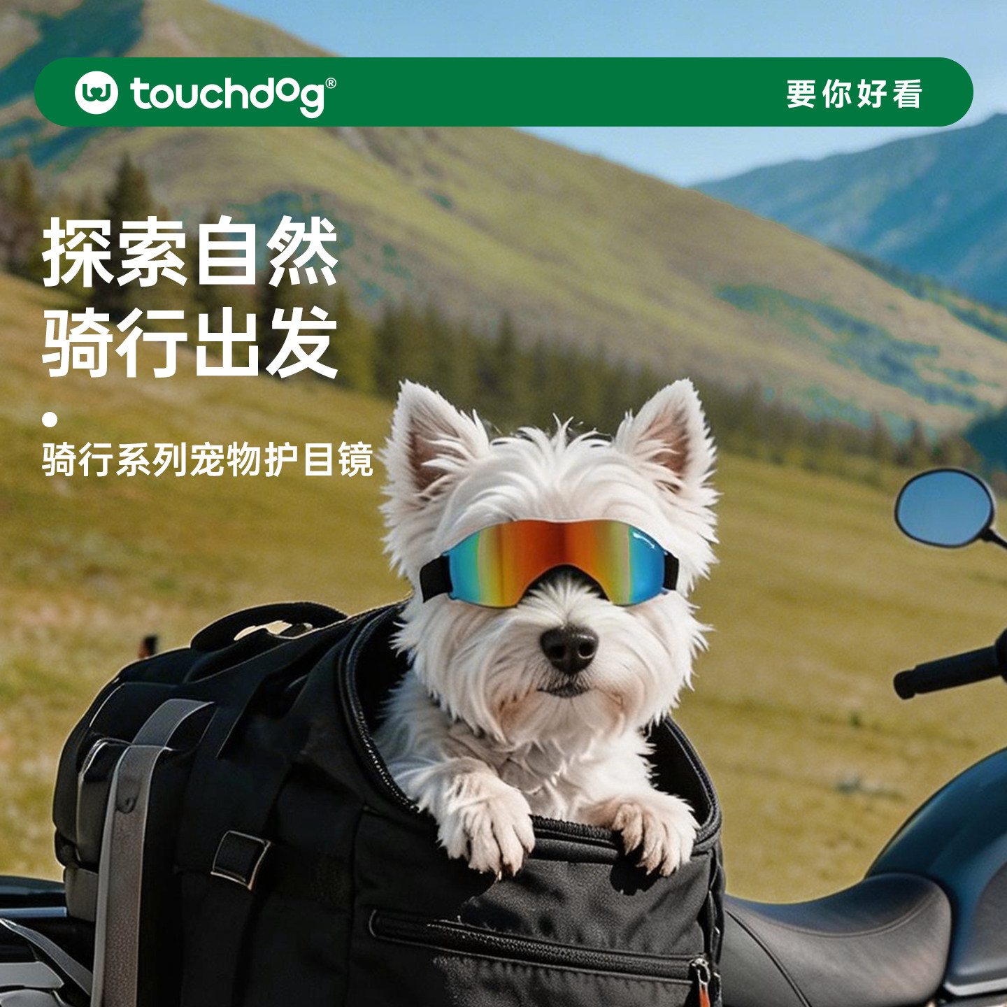 Touchdog它它狗狗护目镜小狗眼镜小中大型犬骑行宠物狗墨镜雪纳瑞