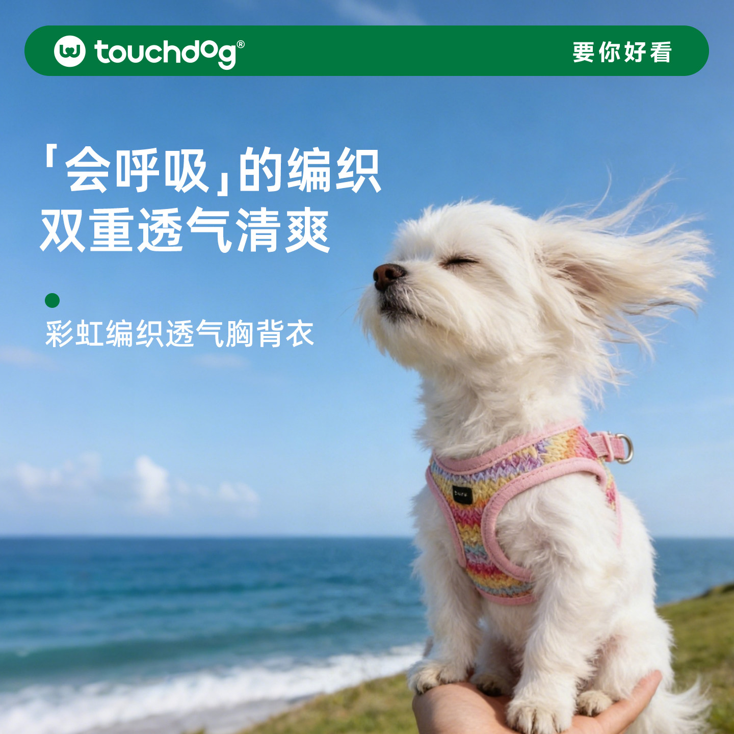 Touchdog它它编织小狗狗胸背图片